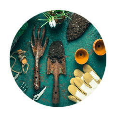 Outils de jardinage sur une surface colorée.